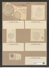 Coscinodiscus subglosus Grun. (de-Toni-Nr.: Genus 202, Species 4916) Zeichnungen Sammlung Grunow Nr. 8685 (NHMW-BOT-W0378103)